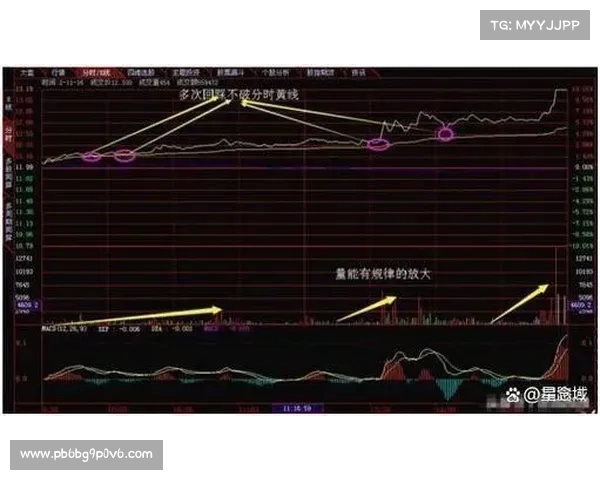 两市量能未能有效释放 投资者仍需耐心等待 两市量能未能有效释放 投资者仍需耐心等待